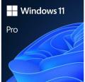 Win 11 Pro 64Bit Eng Intl 1pk DSP OEI DVD