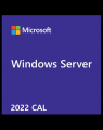 Windows Server CAL 2022 English 1pk DSP OEI 5 Clt Device CAL